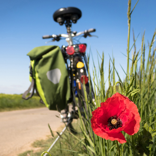 Fahrrad am Feldrand